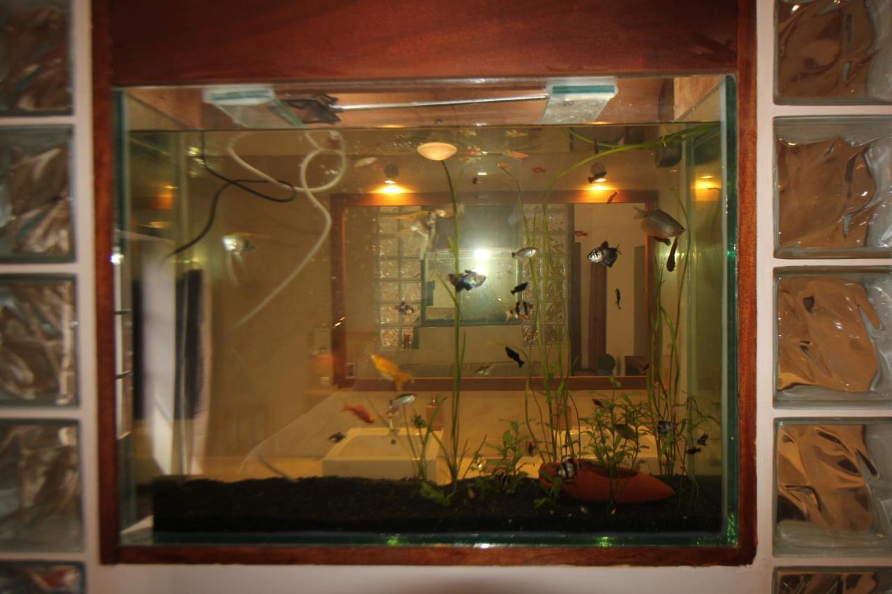 Hotel Casa Evora - Luxury And Beach Front Cidade do Maio Bagian luar foto